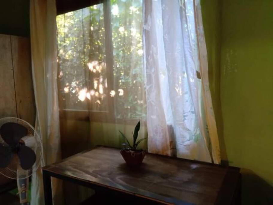 فيلا Casa Flor De Annia ~ Cozy 2 Bdrm On The River Sierpe ~ Walkable To Town المظهر الخارجي الصورة